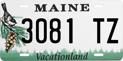 ME license plate 3081TZ