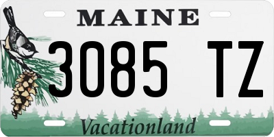 ME license plate 3085TZ