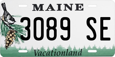 ME license plate 3089SE