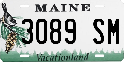 ME license plate 3089SM