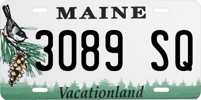 ME license plate 3089SQ