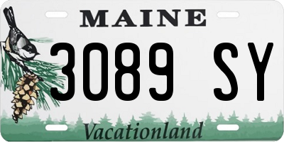 ME license plate 3089SY