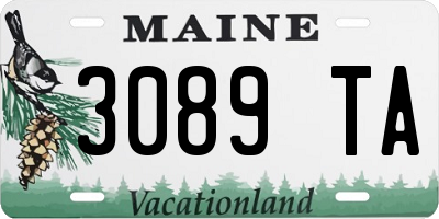 ME license plate 3089TA