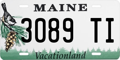 ME license plate 3089TI