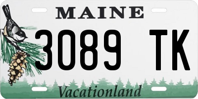 ME license plate 3089TK