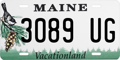 ME license plate 3089UG