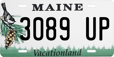 ME license plate 3089UP