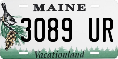 ME license plate 3089UR