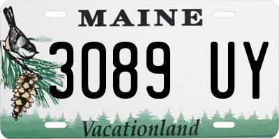 ME license plate 3089UY