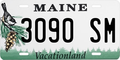 ME license plate 3090SM