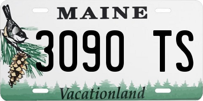 ME license plate 3090TS