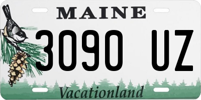 ME license plate 3090UZ