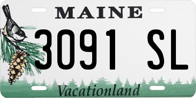 ME license plate 3091SL