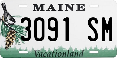 ME license plate 3091SM