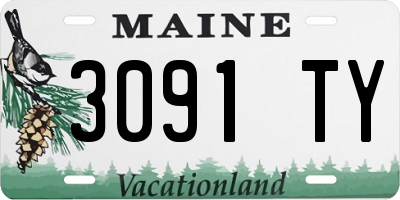 ME license plate 3091TY