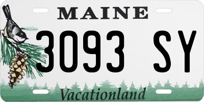 ME license plate 3093SY