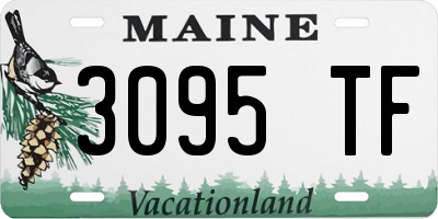 ME license plate 3095TF
