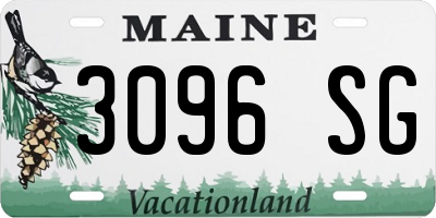 ME license plate 3096SG