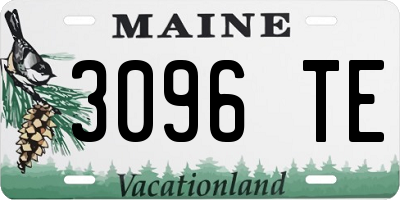 ME license plate 3096TE