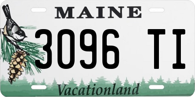 ME license plate 3096TI