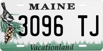ME license plate 3096TJ