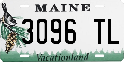 ME license plate 3096TL