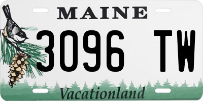 ME license plate 3096TW