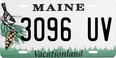 ME license plate 3096UV