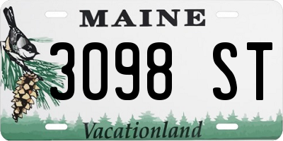 ME license plate 3098ST