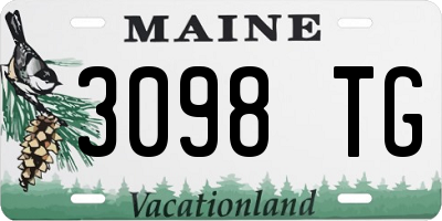 ME license plate 3098TG