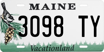 ME license plate 3098TY