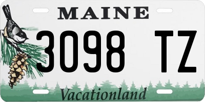 ME license plate 3098TZ