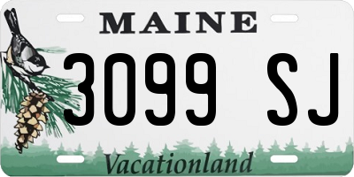 ME license plate 3099SJ