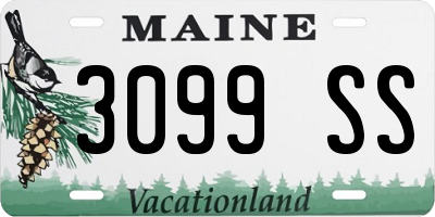 ME license plate 3099SS