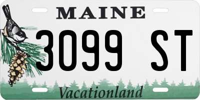 ME license plate 3099ST