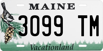 ME license plate 3099TM