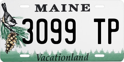ME license plate 3099TP