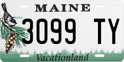 ME license plate 3099TY