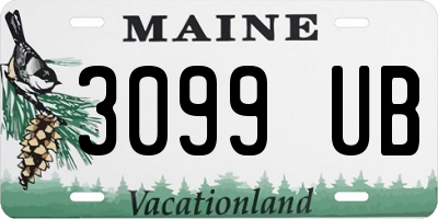 ME license plate 3099UB