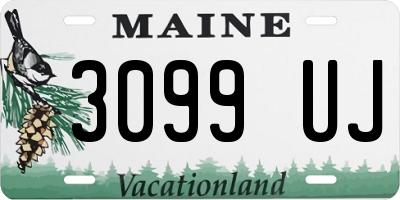 ME license plate 3099UJ