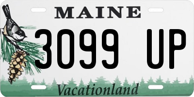 ME license plate 3099UP