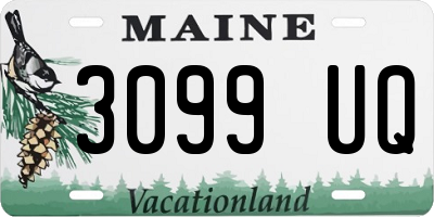 ME license plate 3099UQ