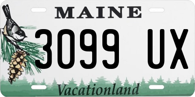 ME license plate 3099UX