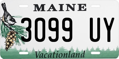 ME license plate 3099UY