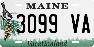 ME license plate 3099VA