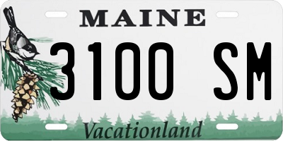 ME license plate 3100SM