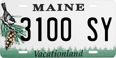 ME license plate 3100SY