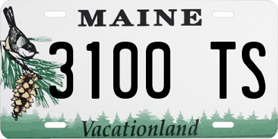 ME license plate 3100TS