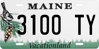 ME license plate 3100TY