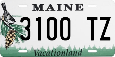 ME license plate 3100TZ